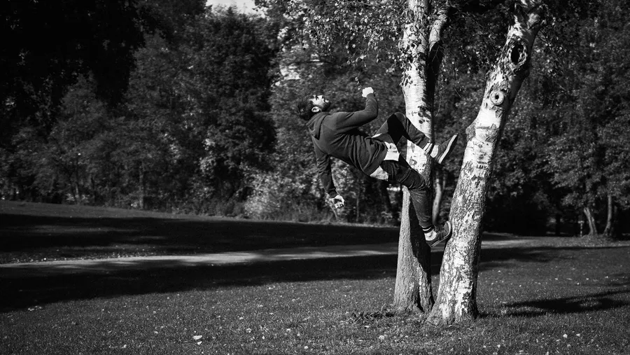 Man climbs a birch trunk in a park, black and white, flash by Kilian Amrehn