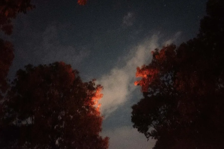Reddish lit treetops against a night sky with a veil of cloud, flash by Kilian Amrehn