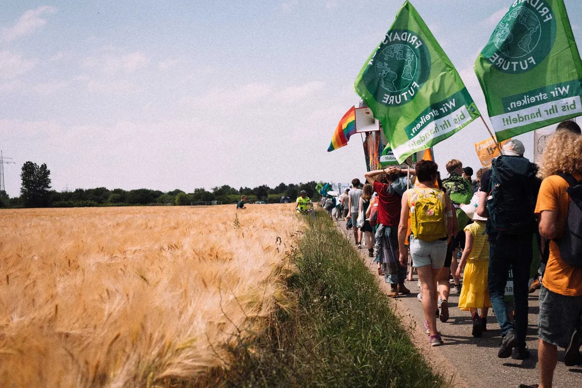 Demonstrierende mit grünen Fridays-for-Future-Fahnen laufen an einem Getreidefeld entlang, Sommerlicht, Garzweiler 2019, Reportage von Kilian Amrehn