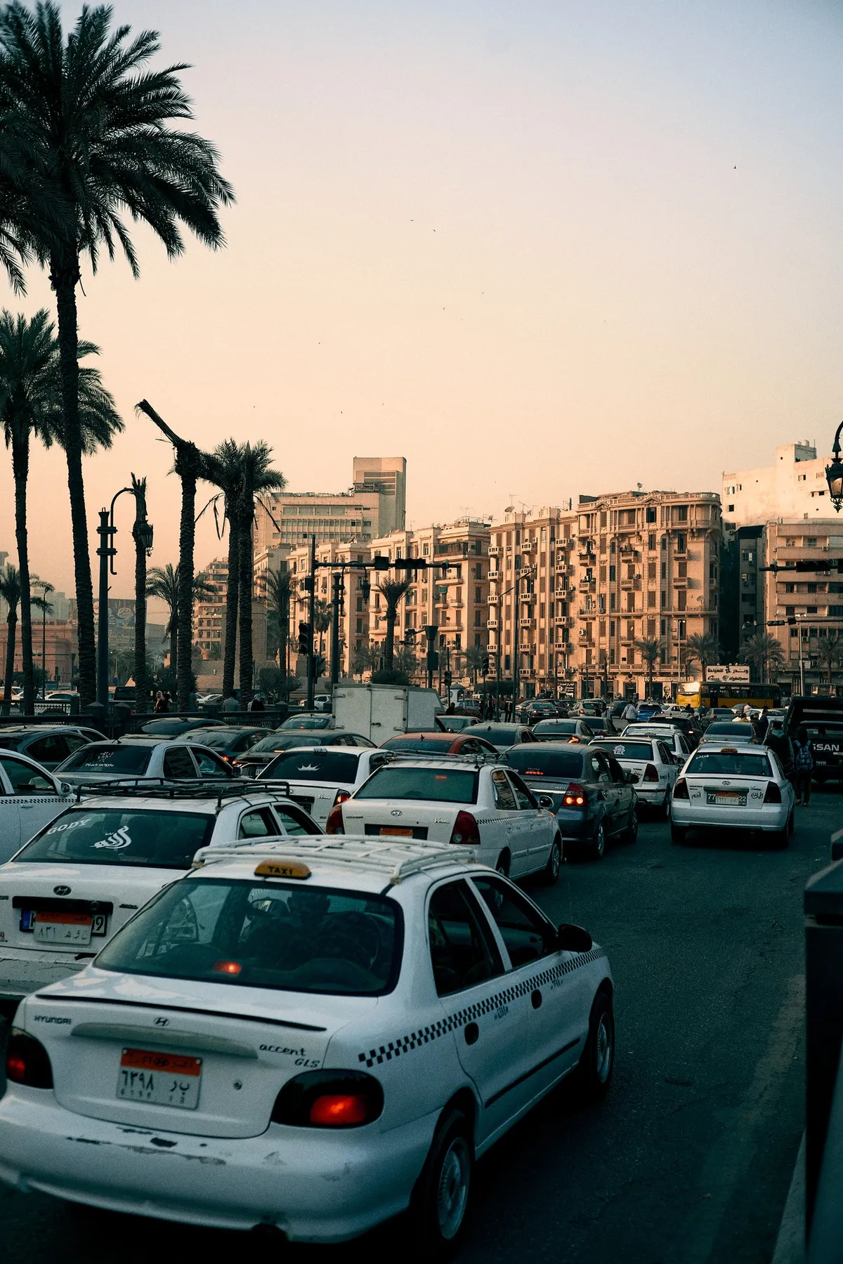 Stau mit weißen Taxis auf einer Palmenallee zwischen Wohnblöcken in der Abendsonne, Kairo 2023, Reportage von Kilian Amrehn