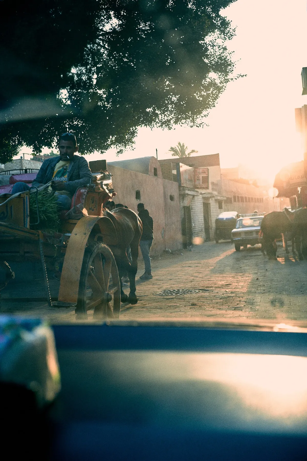 Blick aus dem Auto auf eine Gasse mit Pferdekarren im Gegenlicht der tiefen Sonne, Kairo 2023, Reportage von Kilian Amrehn
