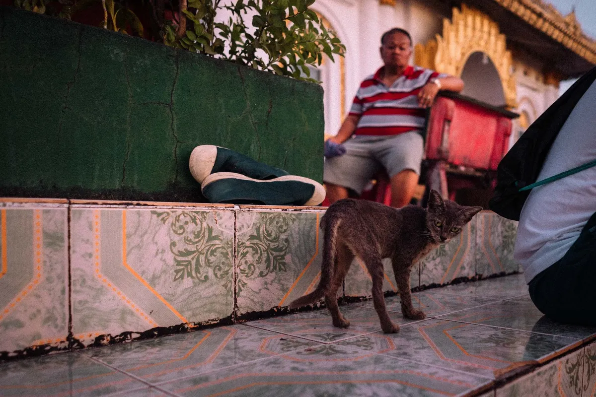 Graue Katze auf gefliestem Boden vor Mann im gestreiften Shirt, abgestellte Schuhe auf der Mauer, Myanmar 2017, Reportage von Kilian Amrehn