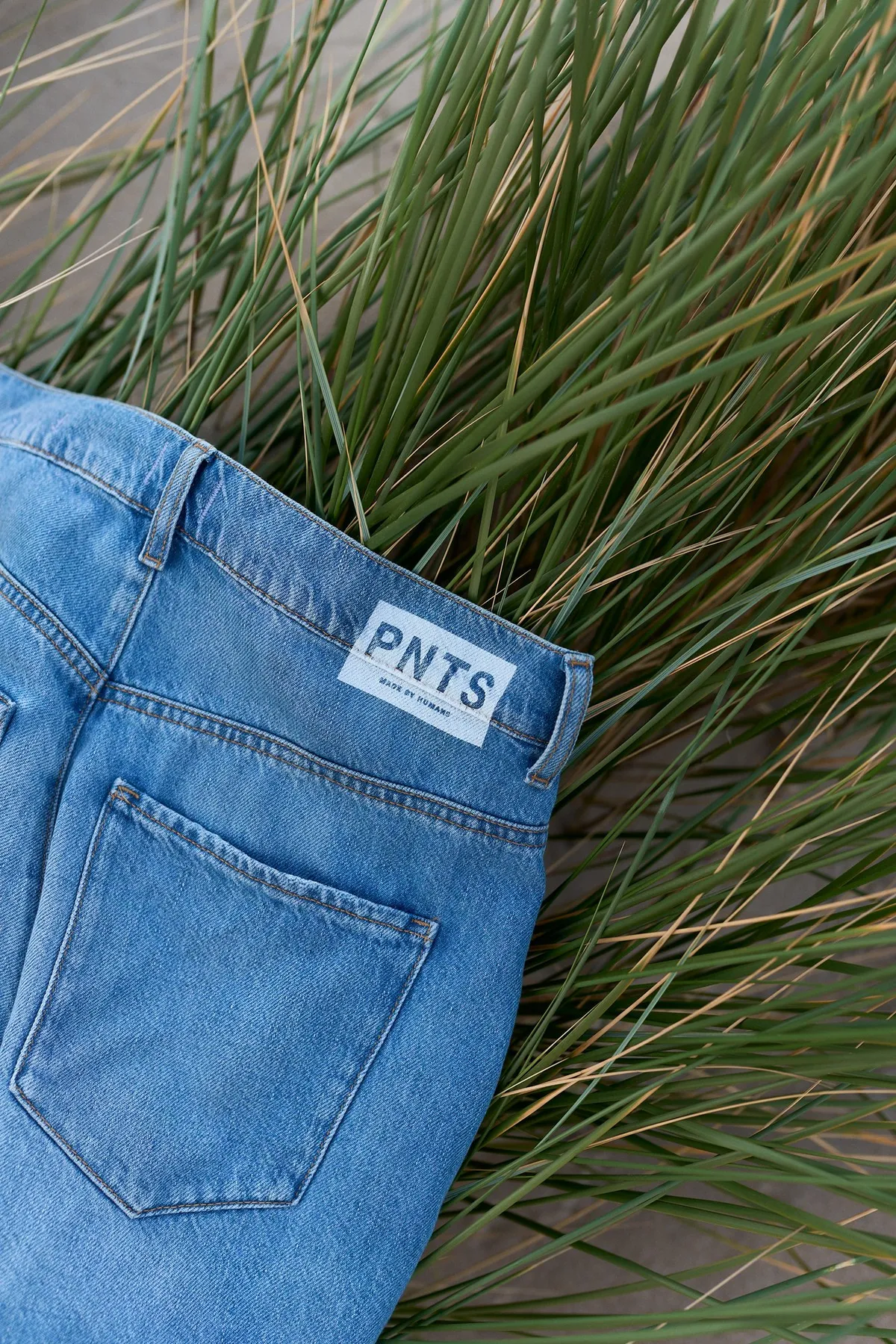 PNTS, light blue jeans with PNTS label lying in green dune grass, back pocket detail, Noordwijk 2023, photographed by Kilian Amrehn