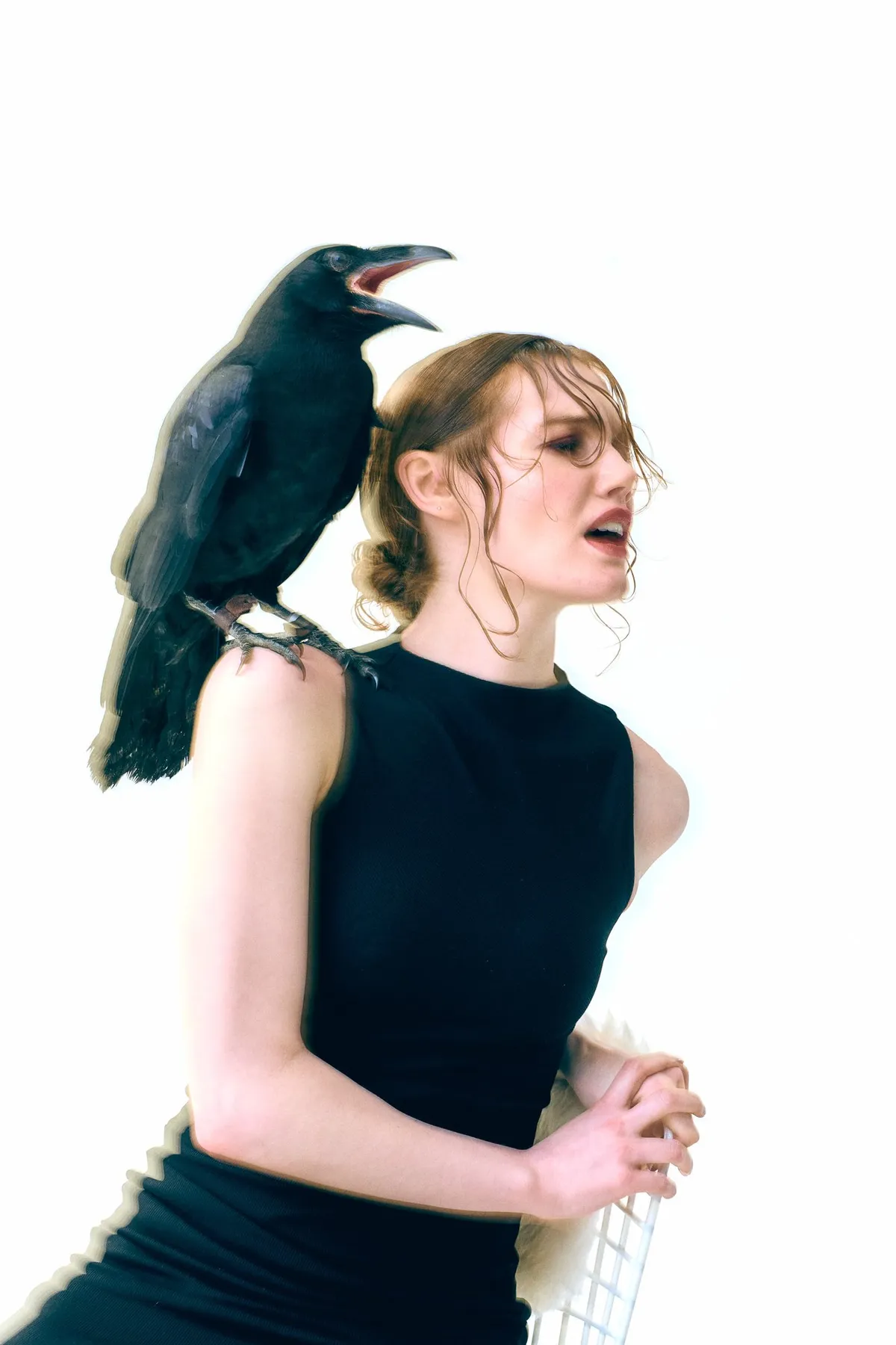 Untamed, model in a black sleeveless dress with a cawing raven on her shoulder, bright studio light, editorial 2024, photographed by Kilian Amrehn
