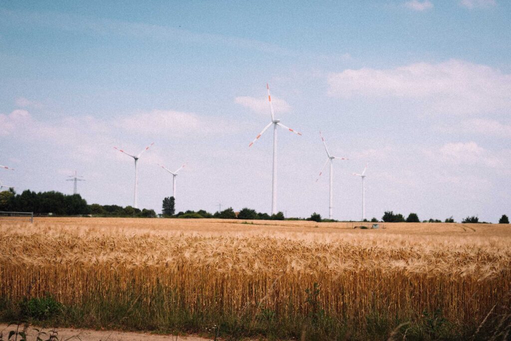 Foto von Windkrafträdern und einem Weizenfeld